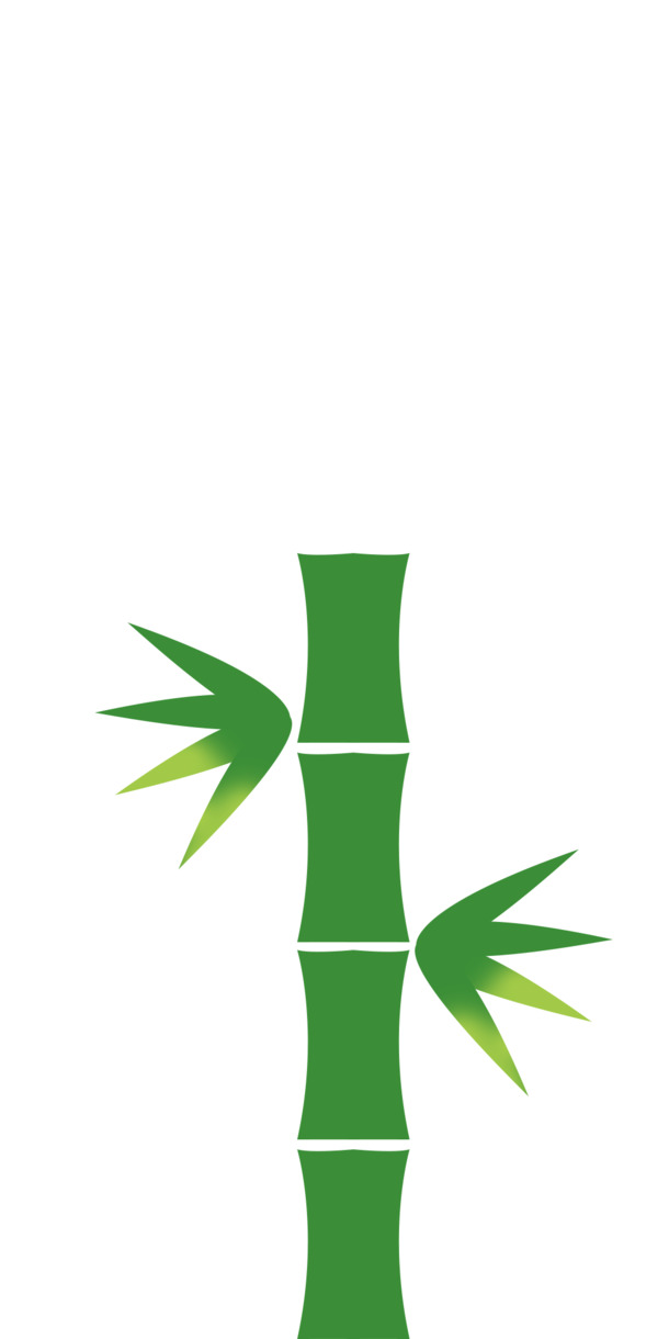 手绘绿色竹子PNG透明图，高清动植物设计素材PSD下载