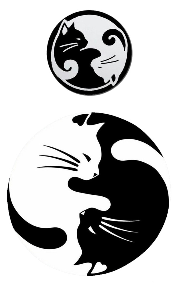 创意猫形太极八卦PNG透明图，装饰图案素材，一键下载！