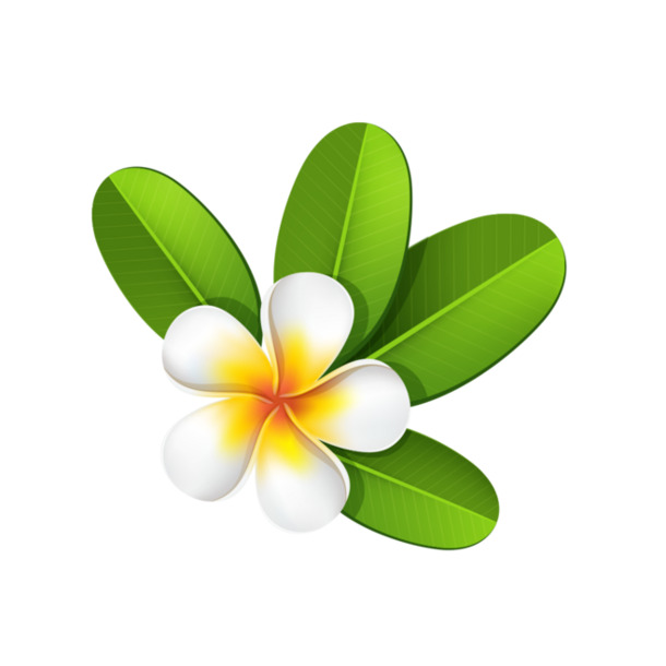 绿叶小白花高清PNG，透明动植物图片素材下载