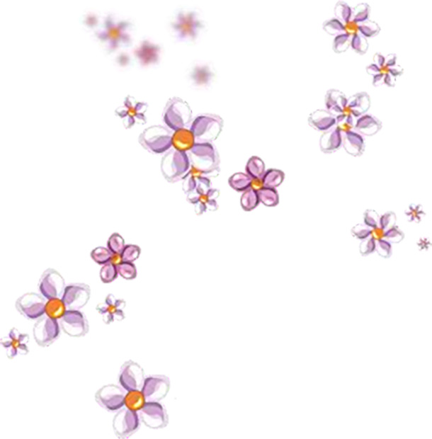 光点漂浮PNG素材，高清透明花瓣元素，设计下载必备之选