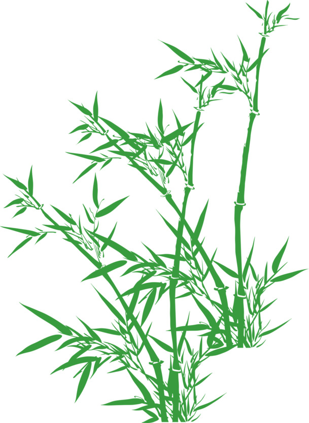 端午节竹叶水彩PNG图片，清新绿色透明素材，高清下载