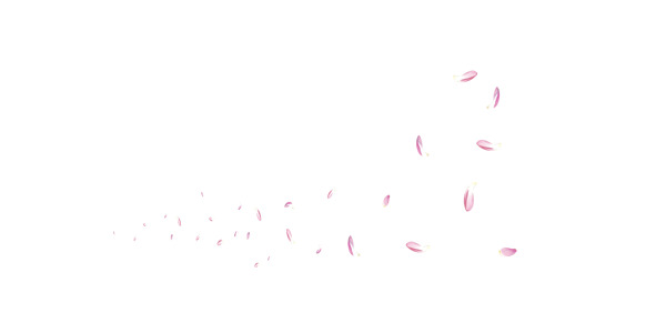 高清PNG透明桃花瓣漂浮元素，创意花瓣图片设计素材下载
