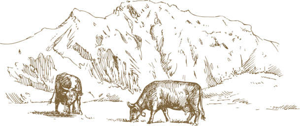 手绘庄园农牧线稿PNG素材，高清透明，卡通元素丰富，设计必备下载