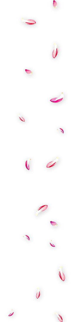 红色桃花瓣高清PNG透明图，漂浮花瓣元素，免费设计素材下载