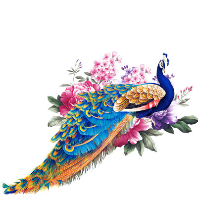 孔雀PNG透明图，高清装饰元素，植物设计素材下载