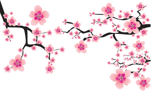 立冬梅花高清PNG素材，透明图片，节日元素，免费下载
