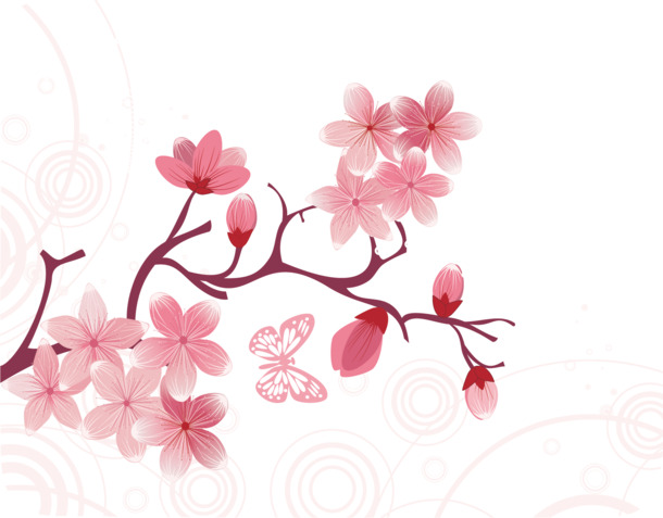 樱花节图案，高清PNG透明手绘卡通素材，免费下载