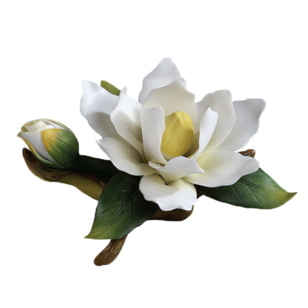 山茶花高清PNG透明图，动植物元素植物设计素材下载