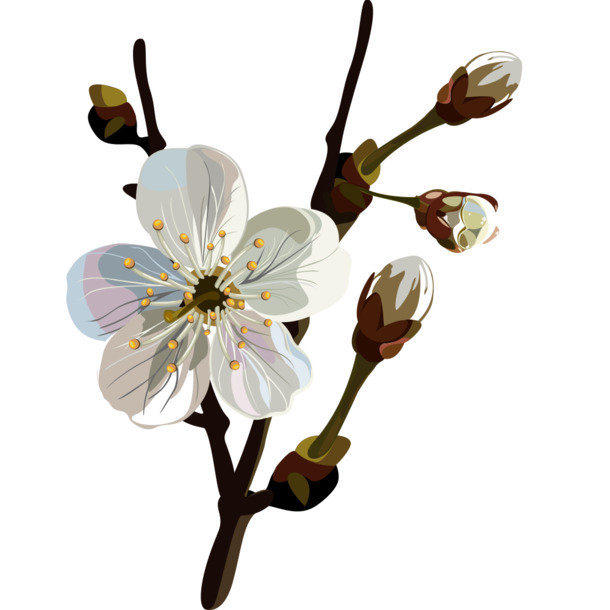 手绘花朵PNG透明图片，高清漂浮花瓣素材，免费下载