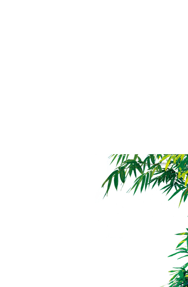 高清PNG绿色树叶美景，树影透明图片，优雅植物装饰元素，设计素材任你下载