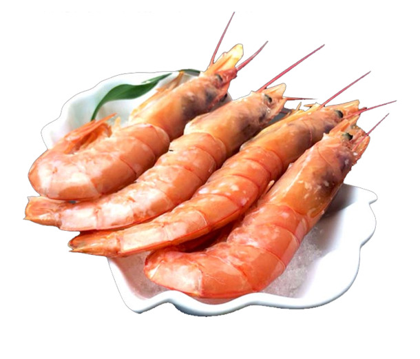 虾PNG透明图片，高清美食装饰元素，动物图片设计素材下载