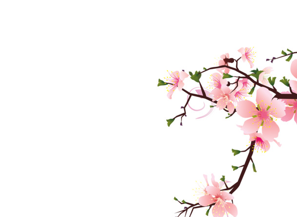粉色梦幻桃花PNG透明图片，中国风装饰元素，高清植物设计素材下载