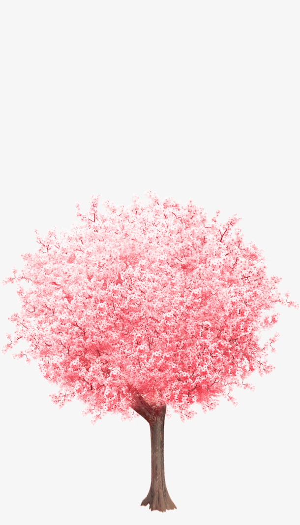 樱花树高清PNG，透明动植物元素，植物图片设计素材下载
