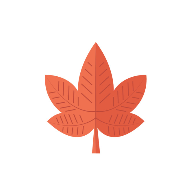 矢量植物PNG透明图，高清漂浮叶子设计素材，免费下载