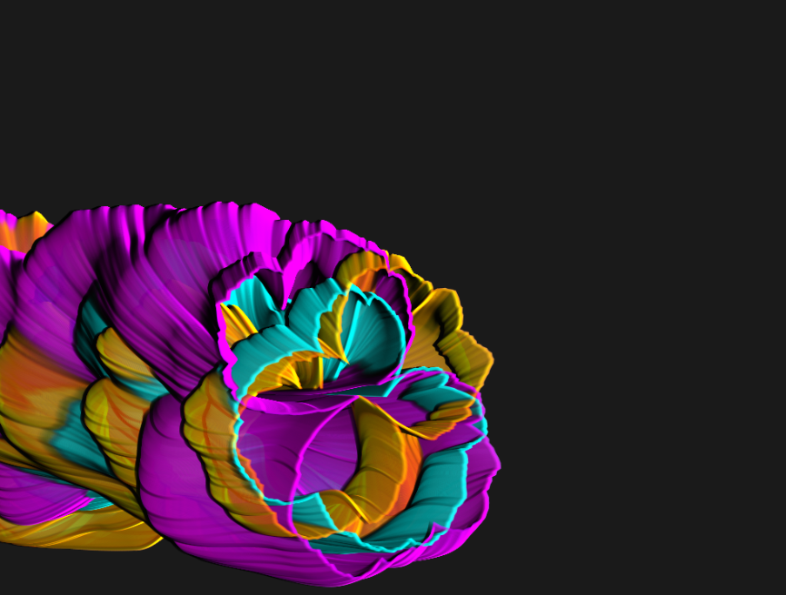 花朵绽放逐帧动画，花卉生成动画效果