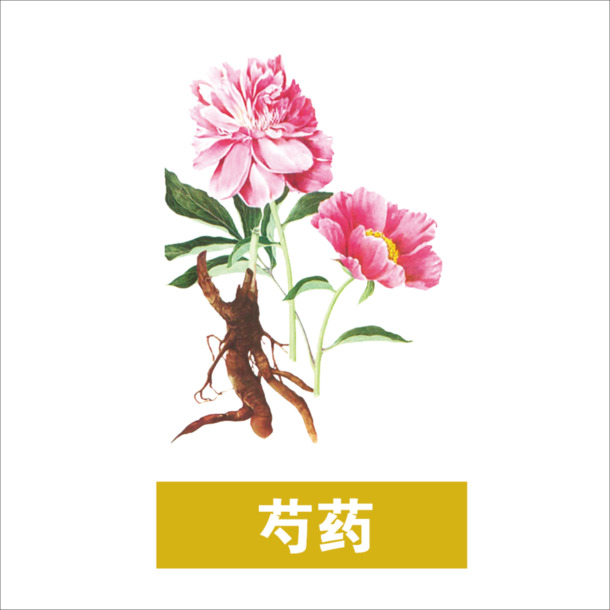 高清透明芍药PNG图片，动植物元素植物设计素材下载