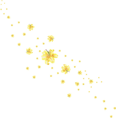 黄色花朵PNG素材，高清透明图片，花瓣漂浮元素，设计素材下载
