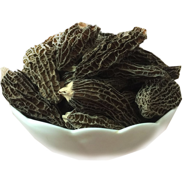 云南野生羊肚菌，精美PNG透明图片，植物设计素材，免费下载