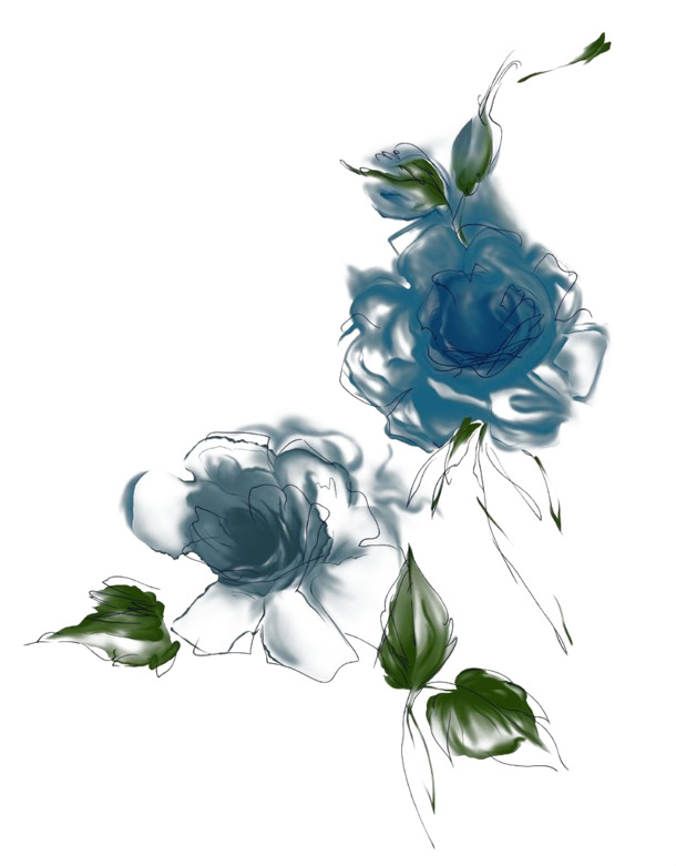 手绘插画填色PNG素材，情人节节日元素，高清透明图片下载