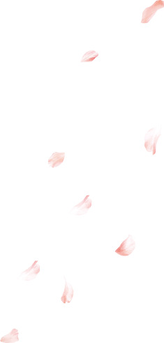 粉色风舞花瓣PNG透明图，高清漂浮元素，设计素材免费下载