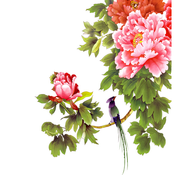 情人节花鸟PNG透明图片，高清节日元素，设计素材免费下载