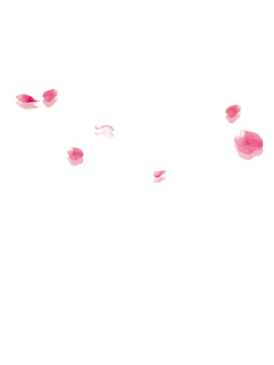 高清透明花瓣PNG素材，背景透明，漂浮元素设计，免费下载
