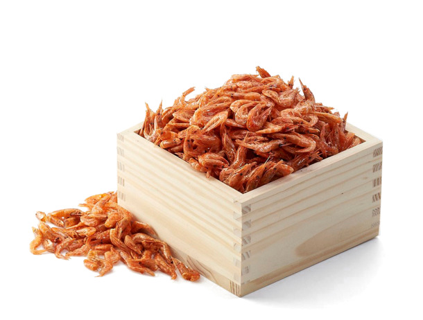 高清PNG动物图片素材，透明装饰元素，一键下载