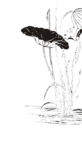 复古莲花水墨画PNG素材，高清透明装饰笔触，下载即用