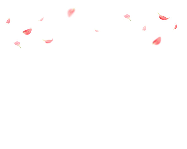 浪漫花瓣PNG透明图，高清漂浮元素设计素材下载