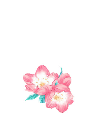 手绘桃花PNG透明图，卡通元素设计素材，高清下载