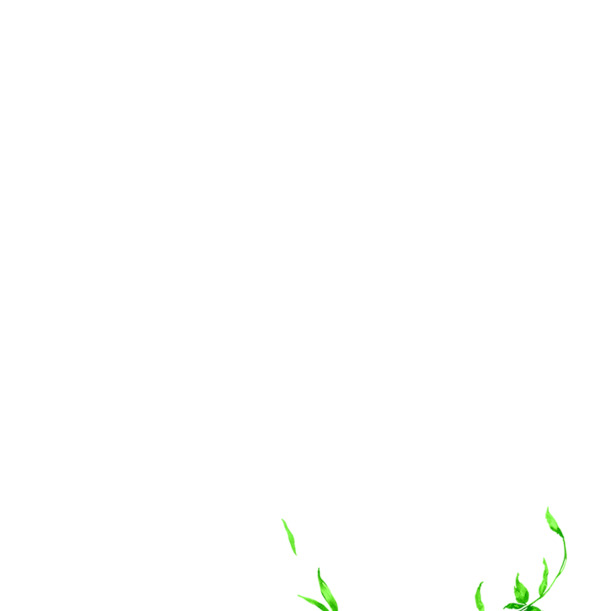 端午节手绘植物PNG素材，高清透明图片，节日元素设计下载