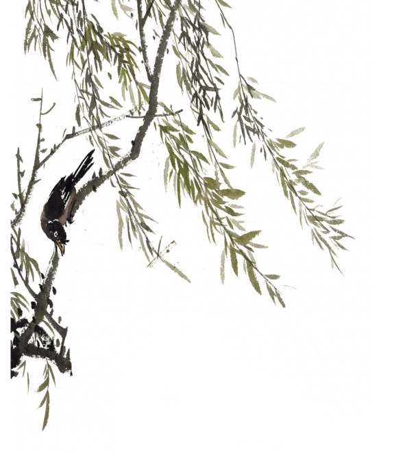 水墨国画喜鹊柳树叶，高清PNG透明图片，手绘卡通元素，设计素材下载