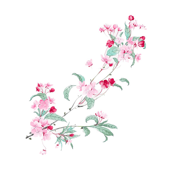 水墨海棠PNG透明图，动植物元素植物设计素材高清下载