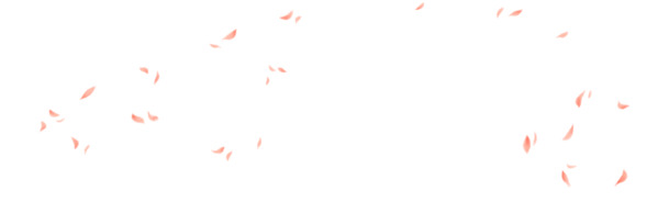 高清PNG透明花瓣飘浮底纹，漂浮元素图片素材，免费下载