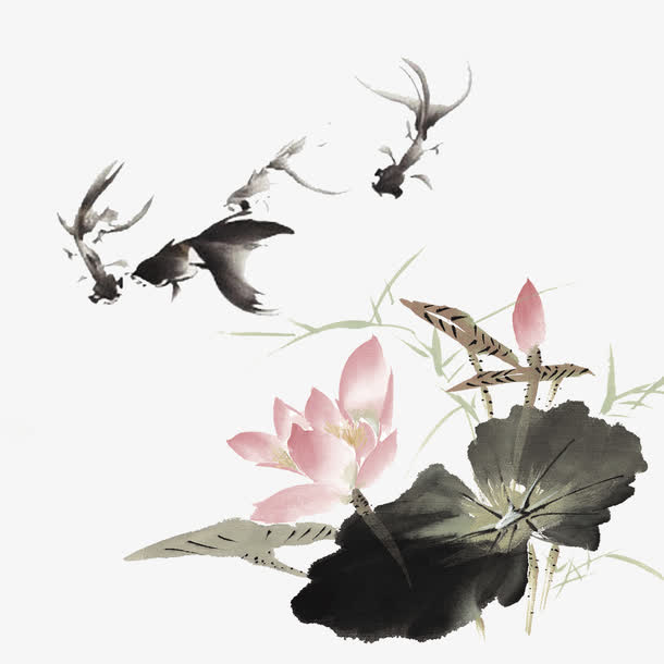 水墨荷花锦鲤PNG透明图，装饰元素设计素材，笔触清晰，高清下载