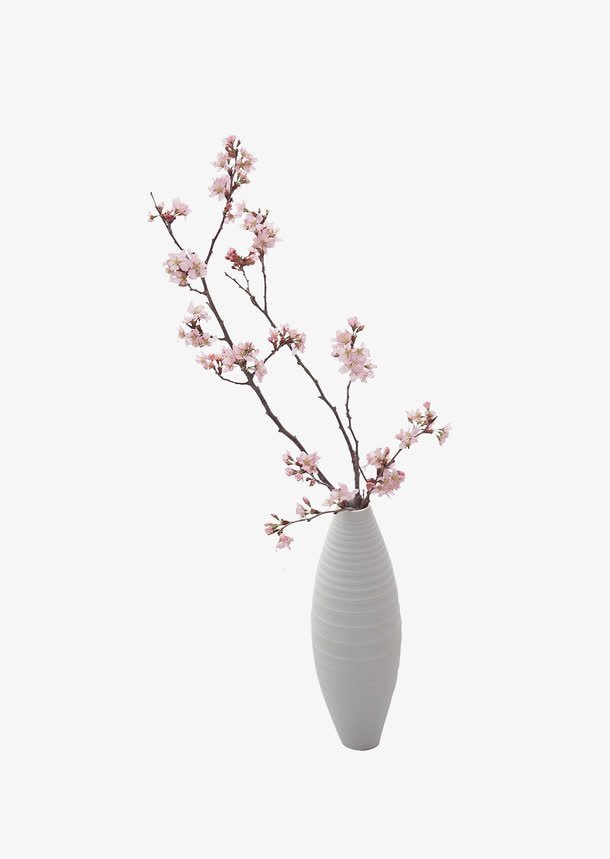 樱花插瓶高清PNG透明图，优雅植物装饰元素，设计素材下载