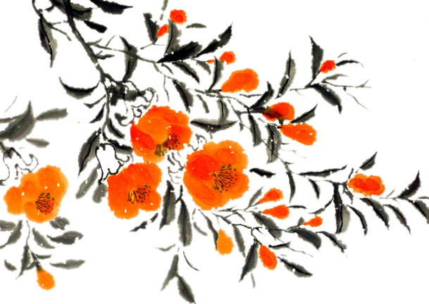 石榴花国画PNG透明素材，高清装饰元素，植物图片设计资源免费下载