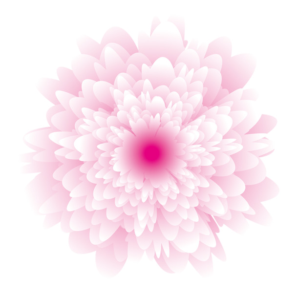 粉色花朵PNG透明图，高清装饰花纹，设计素材免费下载