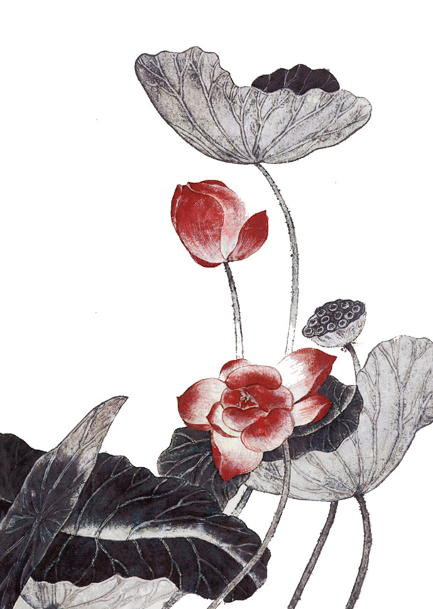 荷花水墨画，高清PNG透明装饰图片，植物设计素材下载