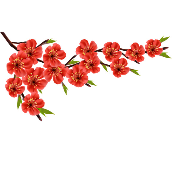 冬季梅花高清PNG素材，透明动植物元素，植物图片设计下载