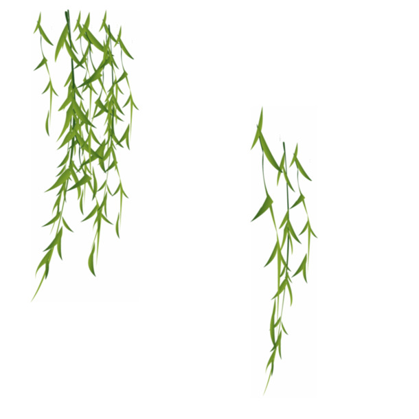 创意手绘绿色柳树立绘，高清PNG透明素材，装饰元素植物图片设计下载