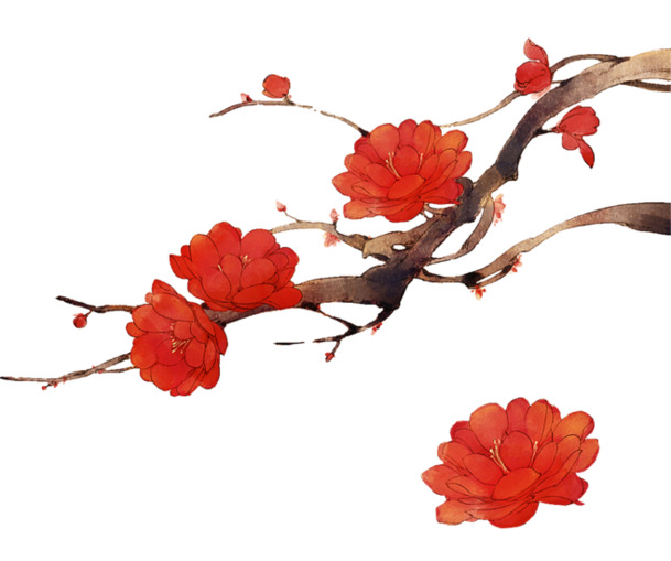 春意盎然红杏花，高清PNG透明图，装饰元素任你选，植物素材免费下