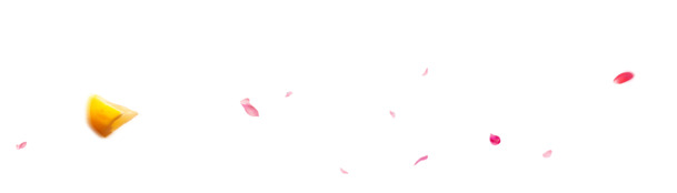 高清PNG透明花瓣水果漂浮装饰元素，设计素材免费下载