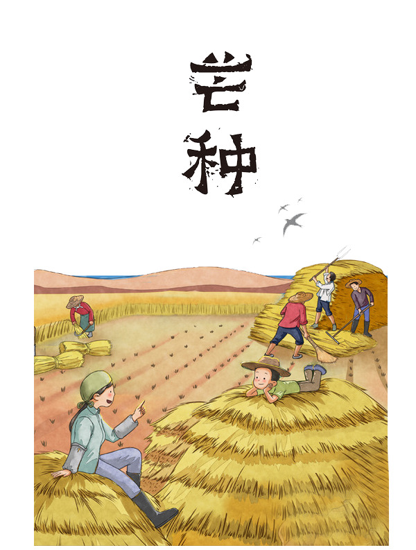 芒种节气高清PNG透明图片，免费下载免扣元素与标签设计素材