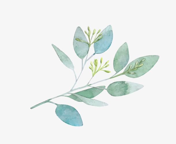 文艺清新花草花环海报设计，手绘卡通元素PNG透明图片，高清装饰素材下载