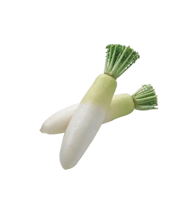 绿色食品萝卜高清PNG素材，动植物元素，透明背景，设计下载必备
