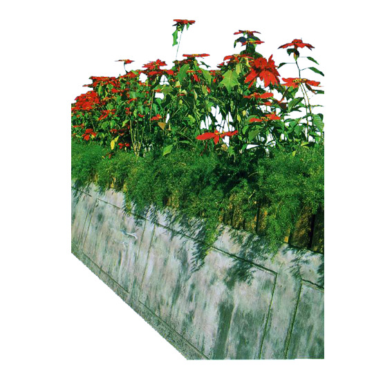 花台鲜花PNG透明背景图片，高清摄影风景素材，免费下载