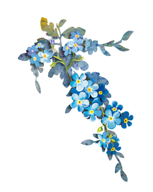 花朵素材大放送，高清PNG透明图片，花枝绿叶花瓣一应俱全，设计必备！