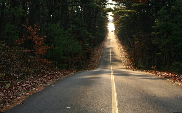 茂密森林公路高清PNG背景，透明元素摄影风景素材下载