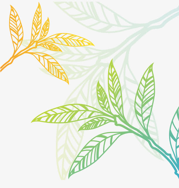 茶叶花纹矢量PNG，手绘卡通元素，高清透明图片素材下载